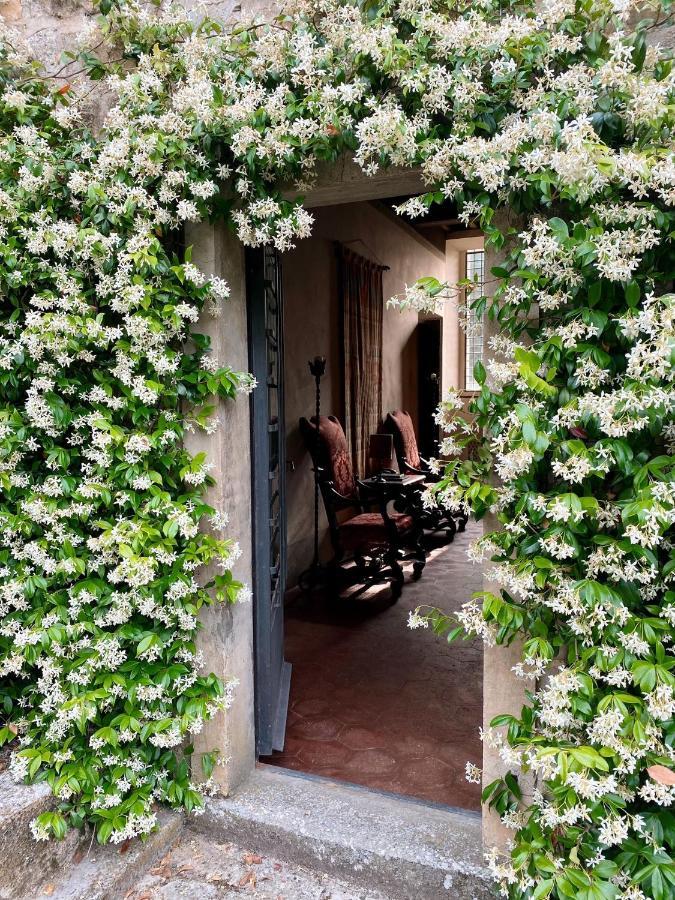 Tenuta Di San Giusto In Salcio Lägenhet Gaiole in Chianti Exteriör bild
