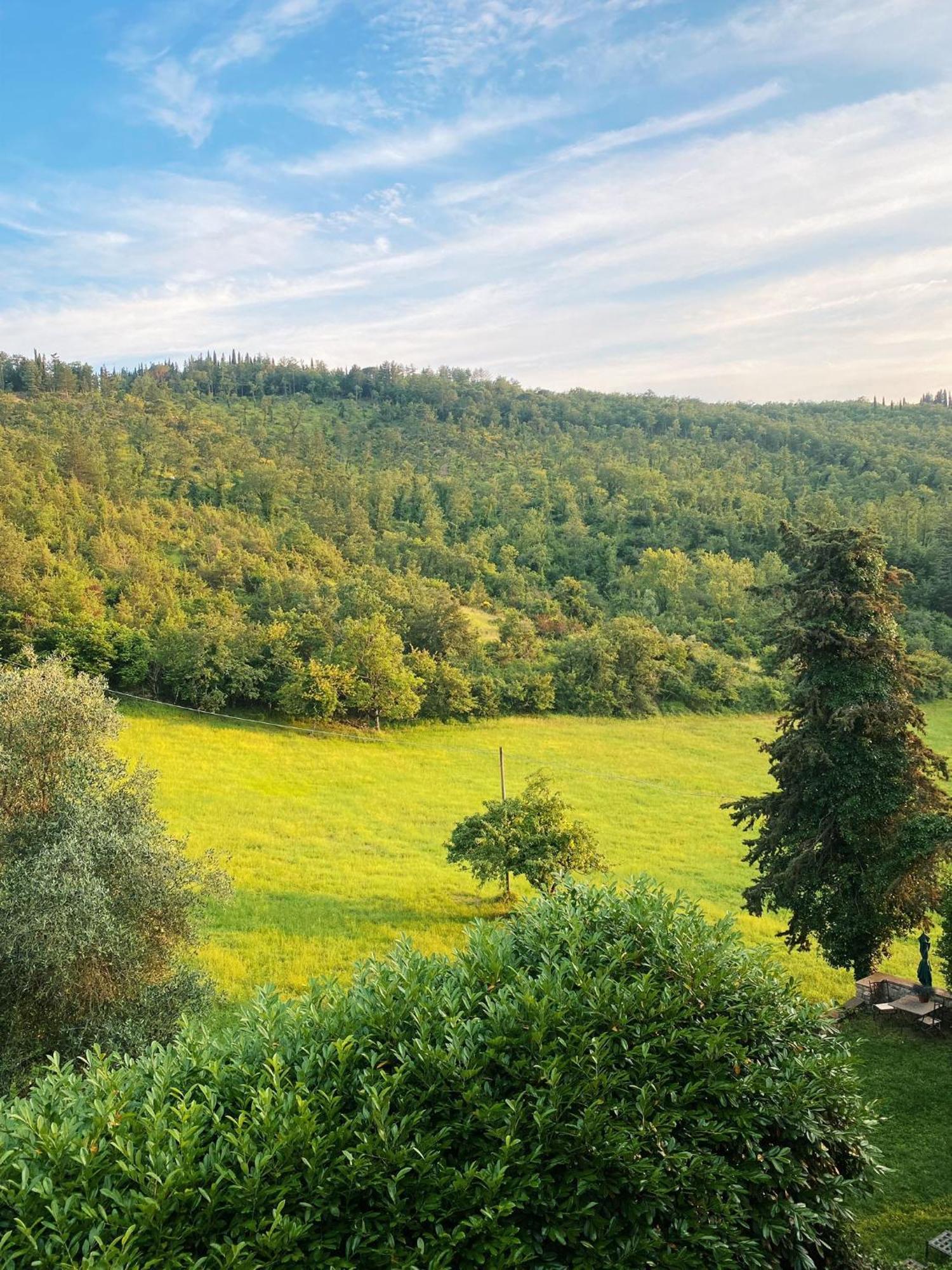 Tenuta Di San Giusto In Salcio Lägenhet Gaiole in Chianti Exteriör bild